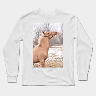 Palomino thoroughbred colt Long Sleeve T-Shirt